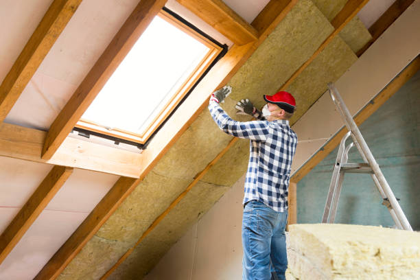 Eco-Friendly Insulation Solutions in Oregon, OH